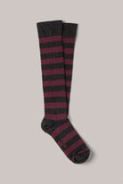 Ralph Sock Bordeaux Brown - Sohhan